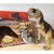 Óriás Sétáló Dinosaur T-Rex Hanggal és Mozgással Dino Epoch (1121) Acrochantosaurus Dinoszaurusz Dínó