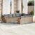 Patio Sofa Set 10-személyes Vegyes bézs