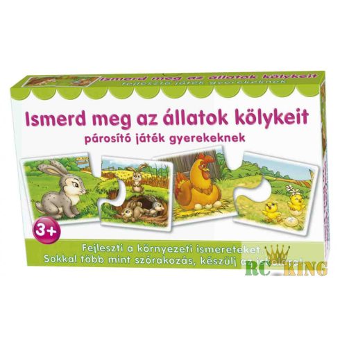 Párosító játék mix