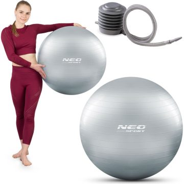 Gyakorlólabda 65 cm NS-951 ezüst