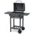 Berdsen BD-892 faszén grill