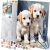 Festés szám szerint 40x50 cm Massido Puppies