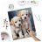 Festés szám szerint 40x50 cm Massido Puppies
