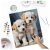 Festés szám szerint 40x50 cm Massido Puppies