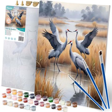 Festés szám szerint 40x50 cm Massido Cranes