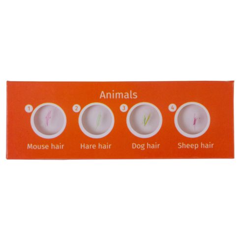 Levenhuk LabZZ C12 Élőlények – előkészített tárgylemez-készlet