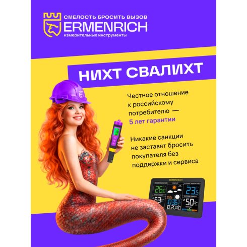 Ermenrich Ping SM40 falszkenner