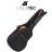 Guitar case