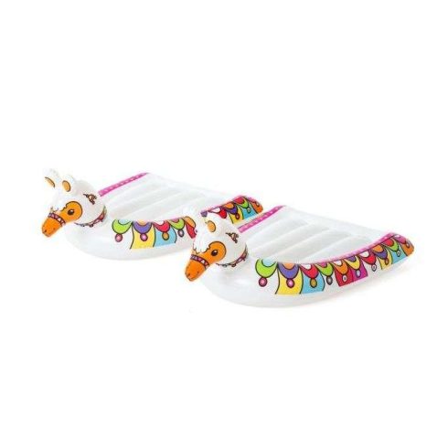 H2GO BESTWAY 52320 Double Slide