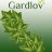 Artificial ivy - garland 25.2m Gardlov 19735