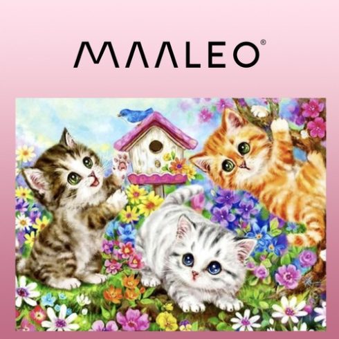 Painting by numbers 40x50cm - cats Maaleo 22781