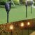 Solar garden lamp - torch set of 4 pcs.23560
