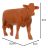 Farm Animals - Kruzzel Figurine Set