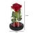 Rose in glass - shining Ruhhy 25682