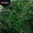 Christmas tree garland 2.7m Ruhhy 26243