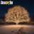 Outdoor lights 500LED 35m white Izoxis 24898