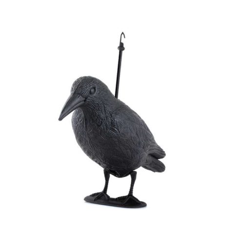 Bird scarer - raven