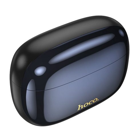 Wireless earphones Hoco TWS ANC + ENC EQ20 black