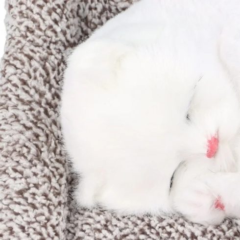 Alvó Nyávogó Plüss Cica Több Színben Szép kidolgozású Játék Macska Töltött Aktívszén Zacskóval Otthoni és Autódekoráció is lehet